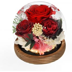 Cadeau Pour Femme, Rose Eternelle Vraie Faites À La Main En Verre Avec Led Lumière, Cadeau Pour Maman Grand-Mère Épouse S?ur Petite Amie, Pour Anniversaire Saint-Valentin Noël Fête Des Mères - Neuf