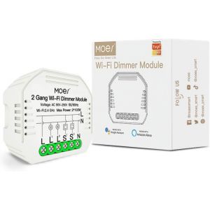 Variateur de Lumiere Sans fil WiFi Intelligent DIY Alexa, MiNi Taille,Commutateur Relais Connect&eacute; Smart Life Tuya Contr&ocirc;le &agrave; Distance, Compatible avec Google Home Alexa, 2 Gang - Neuf
