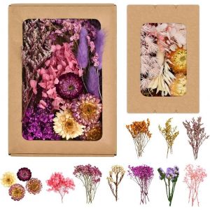 2 Pcs Fleurs Séchées Naturelles,Bouquet De Fleurs Séchées,Fleur Sechees Decoration,Deco Fleurs Séchées,Fleurs Séchées Mini Bouquet Deco De Table Pour Mariage Scrapbooking Diy Bougie - Neuf