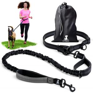 Laisse Mains Libres Pour Chien Grande Et Moyenne Taille U2013 Longe Ceinture Anti-Traction Avec Coutures R&eacute;fl&eacute;chissantes U2013 Accessoire Chien Pour Canicross, Course &Agrave; Pied, Running, Randonn&eacute;e - Neuf