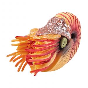 Mini figurine de poisson réaliste, animal marin, jouet, réplique de décoration de gâteau, jouet éducatif pour enfants, collection de boutiques d'aquarium-T15378 - Neuf