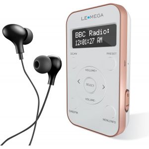 PR1L Radio Dab de Poche, Radio FM,Radio Dab+ Portable, écouteurs Inclus, Batterie Rechargeable, 40 présélections, écran LCD, Radio Dab pour Le Sport avec Interrupteur verrouillable.Champagne - Neuf