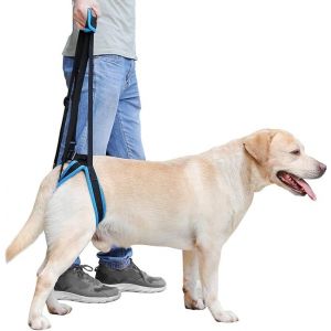 Chien Bleu De Levage Ceinture De Soutien (Circonférence De La Cuisse 25-35cm) - Une Ceinture De Soutien Pour Les Chiens Pattes Arrière, En Aidant À Lever Les Pattes De Derrière, Utilisé Pour Le Sup - Neuf