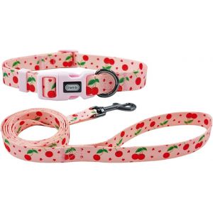 Ensemble Collier Et Laisse Pour Chien - Motif Fruits De Cerise - Polyester - Laisse Assortie De 150 Cm - Taille M - Cerise - Neuf