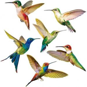 6 Pièces Autocollants Colibri, Accroche De Fenêtre D'oiseau, Stickers Anti-Collision Pour Vitres, Simplicité Modèle Colibri Pvc Sticker Mural Oiseaux Pour Fenêtre, Salon, Bureau - Neuf