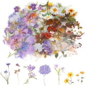 120 Pièces Autocollants De Fleurs Transparents Pour Scrapbooking Autocollants De Plantes Naturelles Vintage Autocollants De Fleurs Colorés Pour Agendas Diy Cartes Albums Photo Téléphones - Neuf
