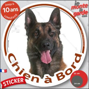 Berger Belge Malinois, Sticker Voiture Rond Photo "Chien &Agrave; Bord", Disque Adh&eacute;sif Qui R&eacute;siste &Agrave; La Pluie Au Soleil Et Au Gel Jusqu'&Agrave; 10 Ans, Id&eacute;e Cadeau, 14 Cm De Diam&egrave;tre. - Neuf