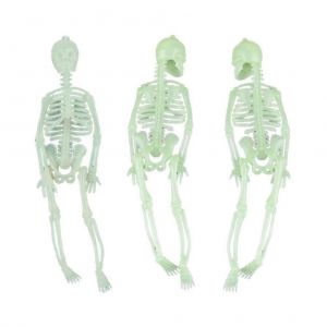 3 pcs 20CM Halloween Lumineux Squelette Accessoires Plastique Suspendu Squelette Halloween Crâne Squelette Cadre Tenture Murale Décor - Neuf
