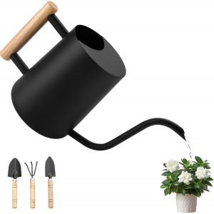 Arrosoir en Acier Inoxydable,1L Arrosoir pour Plantes D'intérieur,Arrosoir Petit avec Long Bec et Outils de Jardinage en Pot,Poignée en Bois Confortable,Arrosoir Plante pour Fleurs de Jardin - Neuf