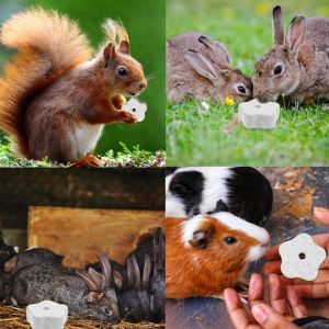 Lot De 6 Jouets Pour Hamster,Lapins,Blocs De Lave Pour Petits Animaux De Compagnie,Broyeur De Dents,Accessoire Pour Perroquet,Lapin,Hamster,Rat,Chinchilla,Jouet Molaire - Neuf