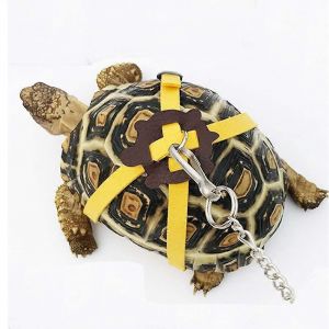 Sangle De Harnais En Cuir Pour Tortue/Tortue Corde De Contr&ocirc;le De La Marche Des Animaux De Compagnie Collier De Poitrine - Neuf