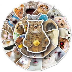 Lot De 50 Autocollants Chat Pour Garçons, Filles, Enfants, Adolescents, Autocollants En Vinyle Imperméable Pour Téléphone, Ordinateur Portable, Bouteille, Bagages, Scrapbooking, Tasse, Vélo, Voiture - Neuf