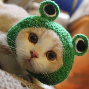 Chapeau Pour Animaux De Compagnie Vert, S Chapeau De Fil De Laine De Chien De Chat Tricoté À La Main Pour Chiot Teddy Cartoon Grenouille Animal Chien Chat Accessoires De Toilettage Vêtements - Neuf