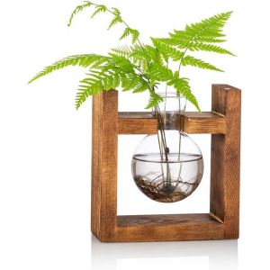 ERYI-Station De Propagation 1 Pc Ampoule Vase D'Avocat Vase En Verre De Gland Pour Fleurs Terrarium Pot Planteur Avec Support De Support En Bois Pour Plantes D'Eau Verte Adapté Pour La Maison Cuisine - Neuf