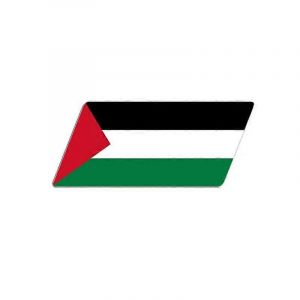 3d &Eacute;poxy Voiture Style Carrosserie Coffre D&eacute;cor Autocollant Avec Bangladesh Kurdistan Isra&euml;l Br&eacute;sil Palestine Pologne France Drapeau Embl&egrave;me - Neuf