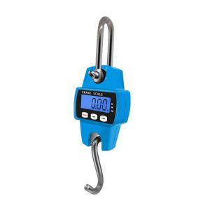 Balance numerique pour grue 1 mini suspendue 300 kg/0,1 kg, balance electronique a crochet - Neuf
