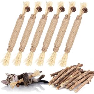 Letnerny-Lot De 21 Bâtonnets D'herbe À Chat, 6 Jouets D'herbe À Chat, 15 Bâtonnets À Mâcher Matatabi Pour Chat - Pour Soins Dentaires - Naturellement Sûrs - Neuf