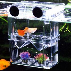 Les Poissons D'aquarium D'élevage-Fort, Double Couche Acrylique Pour Les Poissons, D'isolation Et De Poissons D'incubation/Poissons Tropicaux Éleveurs - Neuf