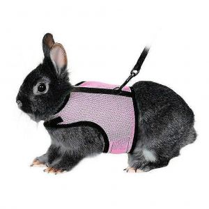 Harnais Avec Laisse Pour Lapins Petits Animaux De Compagnie - Taille Xl (Rose) - Neuf