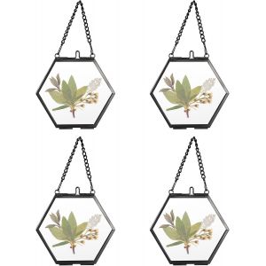 CMWX-Lot de 4 mini cadres photo hexagonaux en m&eacute;tal et verre &agrave; suspendre - Ornement g&eacute;om&eacute;trique - Plante - Clip pour photos de fleurs press&eacute;es - Noir - 5 cm - Neuf