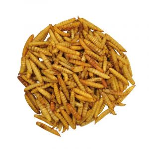 Larves Souffl&eacute;es 2 Litres - Neuf