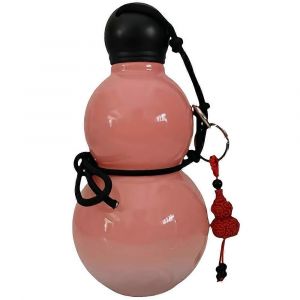 Bouteille D'eau Retro En Forme De Gourde De Grande Capacite De 800 Ml Pour Le Sport, Les Voyages, Bouilloire Portable En Pc (Sans Bpa) - Neuf