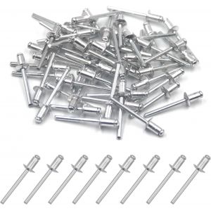 Lot de 100 rivets aveugles en aluminium 4,8 mm x 8 mm,rivets pop à extrémité ouverte (argenté) - Neuf