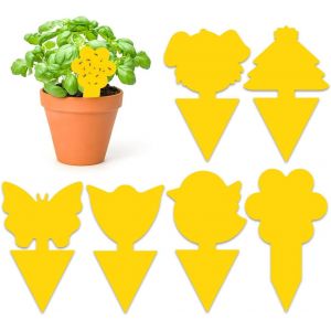 ChenQuanSarl-60 Pieces Anti Moucherons Interieur - Attrape Moucheron Plantes - Piege A Moucherons Cuisine - Tr&egrave;s Efficace Et Facile &Agrave; Util r - Neuf