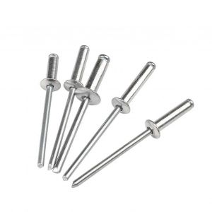 Rivets 20 - 100pcs M2.4 M3.2 M4 M5 M6 Aluminium Mushroon T&ecirc;te Pause Mandrin de Rivets Aveugles pour les Meubles de Voiture - Neuf