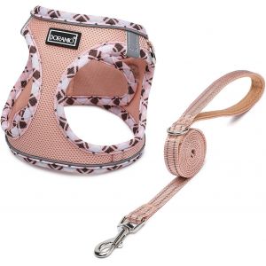 Jgd-Harnais Chien, Step-In Harnais Pour Chiens Avec Laisse, R&eacute;fl&eacute;chissant Respirant Mesh Doux Confort R&eacute;glable Gilet Harnais Pour Petite Chiens Chats Pour Marcher Courir (Champagne, Xs) - Neuf