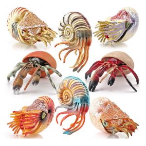 Mini figurine de poisson réaliste, animal marin, jouet, réplique de décoration de gâteau, jouet éducatif pour enfants, collection de boutiques d'aquarium-pièces - Neuf