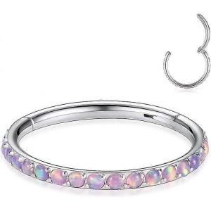 16g Cz Opale Nez Anneaux Septum Clickers 316l Acier Chirurgical Segment Helix Cartilage Hoop Boucles D'oreilles Daith Boucle D'oreille Piercing Bijoux - Neuf