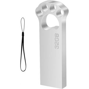 Cle USB 32 GO M&eacute;tal Cl&eacute; USB 32 Giga Mini Clef USB 32GO Imperm&eacute;able USB 2.0 Pen Drive 32GB avec Crochet pour Ordinateur Portable/PC/Voiture etc (Argent) - Neuf