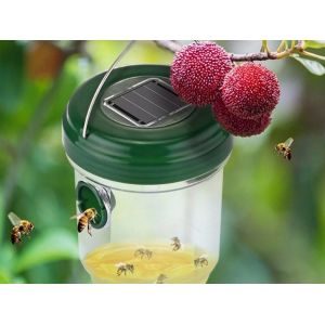 Pi&egrave;ge &agrave; gu&ecirc;pes solaire (lot de 2) avec double entr&eacute;e et lumi&egrave;re UV - Neuf