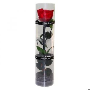 vraie rose éternelle, rose éternelle, rose durable, rose éternelle - Neuf