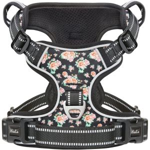 Harnais Chien, Harnais Chien Anti Traction, R&eacute;fl&eacute;chissant, Avec Poign&eacute;e Rembourr&eacute;e Contr&ocirc;l, 2 Anneaux M&eacute;tal, Harnais Pour Petit Moyen Et Grand Chien, Fleur-Noir, M - Neuf