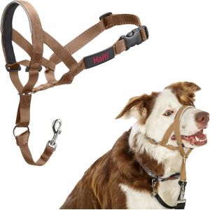 Jgd-Licol Halti - Pour Que Votre Chien Arr&ecirc;te De Tirer Sur Sa Laisse, Partie Enti&egrave;rement Matelass&eacute;e Sur Le Museau, Colliers Anti-Traction Pour Chiens De Taille Moyenne (Taille 2, Sable Du D&eacute;sert) - Neuf