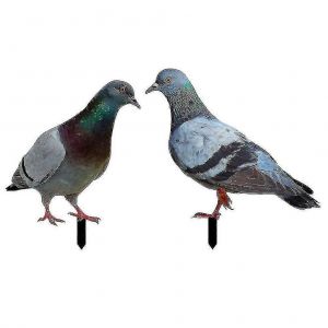2pcs pigeons jardin piquet décoration sol insert réaliste pigeons sculpture acrylique animal piquets-o-bon - Neuf