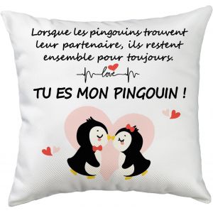 Slep-Id&eacute;e Cadeau Couple Housse De Coussin Pingouin 45x45cm, Cadeaux Amoureux Pour Copine, Cadeau Femme Homme Pour Saint-Valentin Mariage Anniversaire Journ&eacute;e De Comm&eacute;moration No&euml;l - Neuf