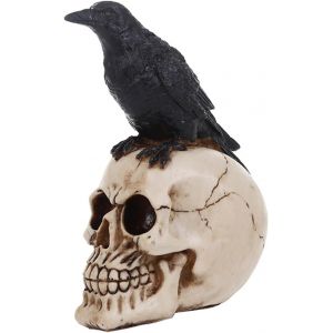 Modèle de crâne Humain Ornement de Corbeau de crâne d'halloween Corbeau perché sur crâne Figurine Squelette de Corbeau en résine Statue de crâne Décorations d'halloween - Neuf