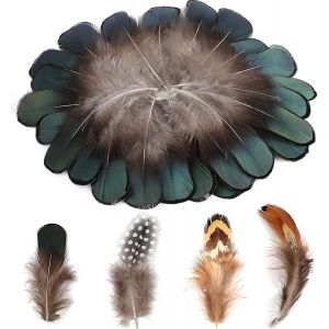 4 Styles Artisanat Plumes,200 Pi&egrave;ces Plumes De Poulet Pour Boucle Oreille Bricolage Ailes Attrapeur De R&ecirc;ves Accueil Mariage D&eacute;coration Vert Noir Jaune Marron D&eacute;cor Plume - Neuf
