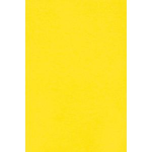 10x Carton Jaune 250g Papier Décoratif A5 148,5x210mm Burano Giallo Zolfo Idéal Pour Cartes De Voeux Scrapbooking Bricolage Invitations Art Et Artisanat Anniversaire Diy Loisirs Créatifs - Neuf