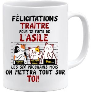 Eryi-Mug Collègue | Félicitations Traître Départ En Retraite | Idée Cadeau Humour Travail | Tasse Départ Homme Ou Femme Bureau | Cadeau Original Collègue (Blanc) - Neuf