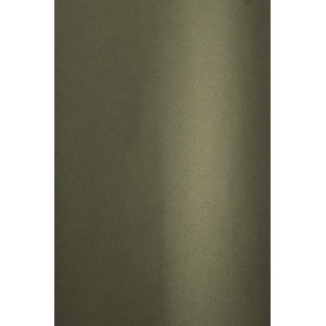 20x Carton Blanc Nacré A4 210 X 297 Mm 300g Aster Metallic White Papier Cartonné Brillant Carton Perlé Papier De Bricolage Pour Scrapbooking Diy Cartes De V?Ux Billets Invitations Menus - Neuf