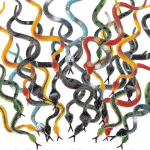 24 pi&egrave;ces En caoutchouc Serpent color&eacute; Faux Serpent Jouets Halloween D&eacute;corations de f&ecirc;te Jouets farces - Neuf