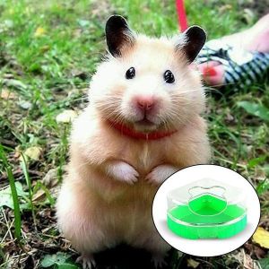 Toilette &Eacute;cologique Pour Hamster &iquest; Vert, 14 X 11 X 7 Cm, Plastique Durable, Facile &Agrave; Nettoyer, Anti-Stress Et Toilettage Pour Des Animaux Heureux - Neuf