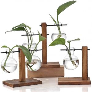 Paquet de 3 vase en verre hydroponique avec support en bois Vase suspendu Vase fleurs Vase de table Vase dcoratif poire Vase avocat vintage avec support en bois De - Neuf