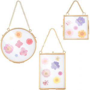 3 Styles Cadres En Verre À Fleurs Pressées Cadre Photo Suspendu En Laiton Cadre Double En Verre Doré Pour Fleurs Pressées Avec Chaîne Pour Fleurs Séchées Photo Poster Décoration Murale - Neuf