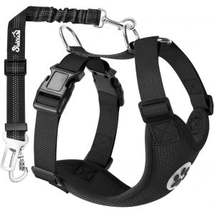 Eryi-Ensemble De Harnais Et Laisse, Multifonction Tissu Réglable Respirant Gilet Ordinaire Harnais Avec Ceinture De Sécurité En Voiture Route Voyage Promenade - Neuf