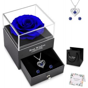 Rose &Eacute;ternelle idee Cadeau No&euml;l Maman Femme Bleu avec Collier Cadeau Fete des Meres Rose Eternelle sous Cloche Cadeau Cadeau Anniversaire Maman Original Cadeaux pour Maman Grand-m&egrave;re - Neuf
